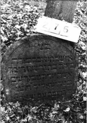 Grabstein 275 (Index: 99752217) Material: Sandstein Zustand: gut Maße HxBxT: 60x66x11 cm Beschreibung: Stele, Segmentbogenabschluß, Schriftfeld eingetieft: Grabstein 275
