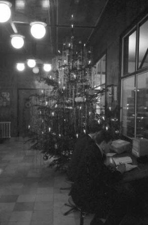 Freiburg: Stefan-Meier-Straße; Weihnachtsbaum in der Schalterhalle