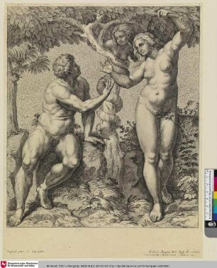 [Adam und Eva; Adam et Eve séduits par le serpent]