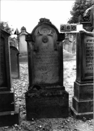 Grabstein 260 (Index: 99797768) Material: Sandstein, weiß Zustand: leicht verwittert Maße HxBxT: 160x61x15 cm Beschreibung: Stele, eingezogener Rundbogenabschluß, Sockel Symbolik: Blüte, Blattornamentik: Grabstein 260