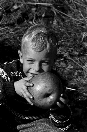 Obst-Kuriosität