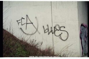 FCA bLuES