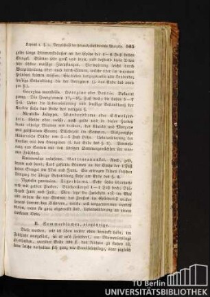 B. Sommerblumen, einjährige.