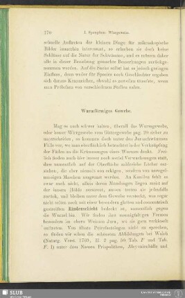 Wurmförmiges Gewebe