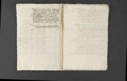 Bemühungen Herzog Christophs von Württemberg und Pfalzgraf Wolfgangs um den in spanischer Gefangenschaft befindlichen Rhein- und Wildgrafen Johann Philipp auszulösen und nach zweijähriger Verstrickung wieder zu befreien.