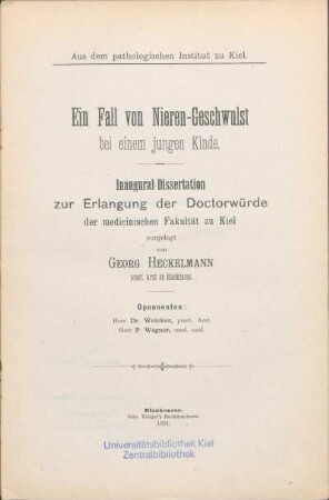 Ein Fall von Nieren-Geschwulst bei einem jungen Kinde