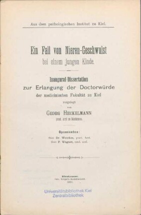 Ein Fall von Nieren-Geschwulst bei einem jungen Kinde