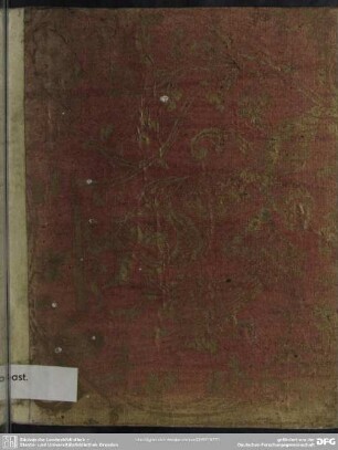 Novum collegium concionatorium