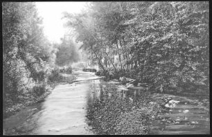 Walla Walla. Scene on Mill Creek, Walla Walla, Wash.