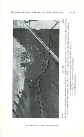 Taf. II. / Abb. 3 b
