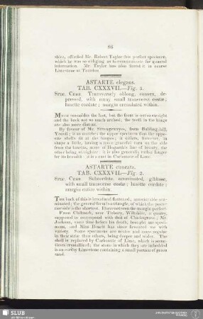 Astarte cuneata. Tab. CXXXVII. — Fig. 2