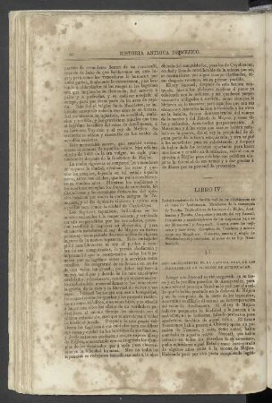 Libro IV