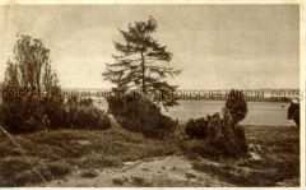 Wald- und Wiesenlandschaft
