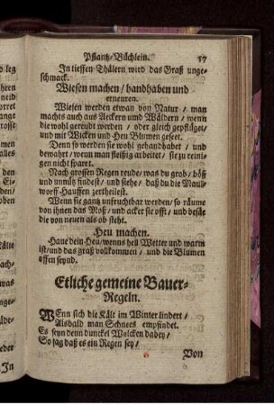 Etliche gemeine Bauer-Regeln