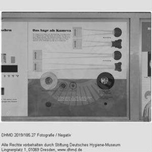 Nationale Hygiene-Ausstellung - Raum 9 - "Das Auge als Kamera"