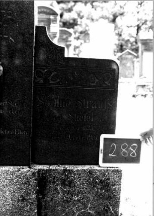 Grabstein 288 [Nir S. 197 Nr. 17.23, 24]: Grabstein 288 (Detailaufnahme) [Nir S. 197 Nr. 17.23, 24]