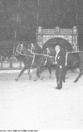 Dresden, Gastspiel des Zirkus Busch, Juni 1956