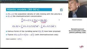 Bacterial movement by run and tumble: models, patterns, pathways, scales