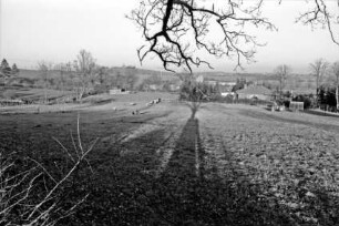 Landwirtschaft: Schafe auf Weide: hinten rechts Trecker mit Anhänger: hinten links Mann: im Hintergrund Häuser