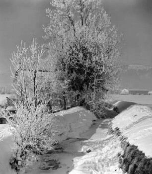 Winterbilder. Verschneiter Weg (wahrscheinlich zur Ruine Fluhenstein in Sonthofen)