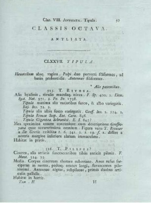 CLASSIS OCTAVA ANTLIATA