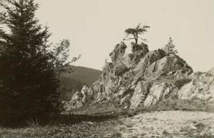 Lausitzer Gebirge. Der Dänstein (740 m) zwischen Ausgespann und Moiselkoppe