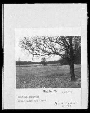Park Rosental