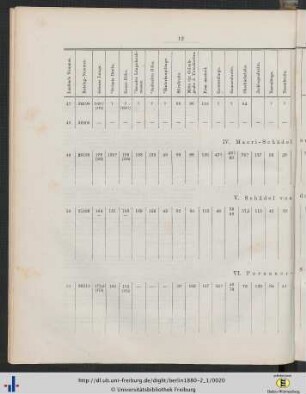 IV. Maori-Schädel aus Neuseeland, Nr. 49.