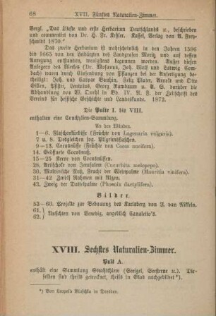 XVIII. Sechtes Naturalien-Zimmer.