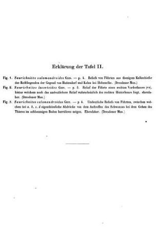 Erklärung der Taf. II.