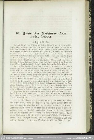 10. Fichte oder Rothtanne (Abies excelsa, DeCand.)