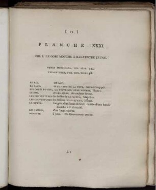 PLANCHE XXXI. [bis] PLANCHE XL. [Pl. siehe röm. Paginierung]