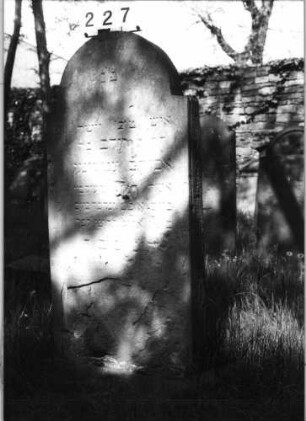 Grabstein 227 (Index: 99629728) Material: Sandstein Zustand: verwittert Maße HxBxT: 149x63x11 cm Beschreibung: Stele mit eingezogenem Rundbogenabschluß: Grabstein 227