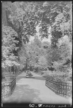 Riesa. Stadtpark