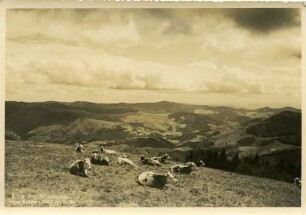 "Blick ins Wiesental vom Belchen"