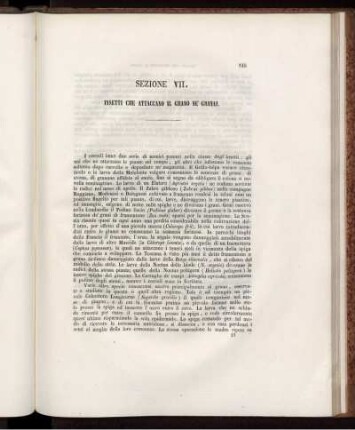 SEZIONE VII.