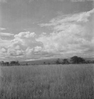 Steppe : Blick über die Steppe in Richtung des Mount Meru