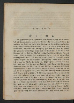 Vierte Klasse. Fische.