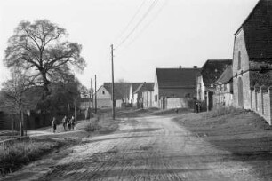 Dorfstraße : Dorfstraße mit Gehöften