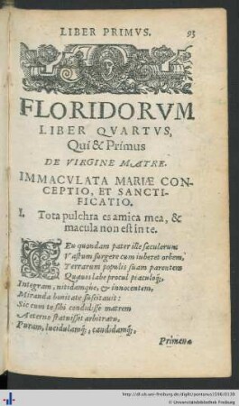 Liber Quartus: De Virgine Matre Liber Primus