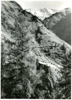 Alpen, Tirol, Ötztaler Alpen, im Schnalser Tal bei Karthaus