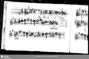 Anonymus: Judaea et Jerusalem nolite timere