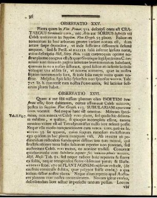 Observatio XXV. - Observatio XXXVI.