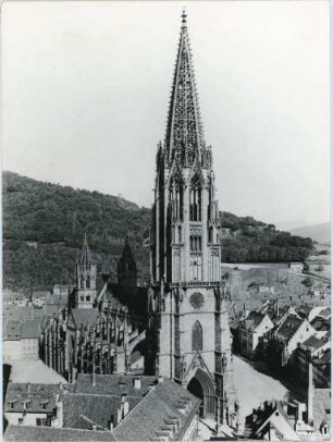 Das Freiburger Münster