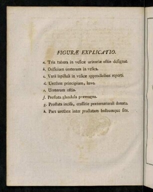 Figurae Explicatio.