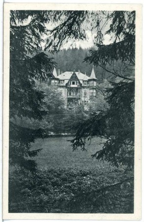 Waldbärenburg. Haus Bergfried