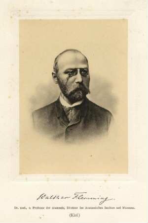 Walther Flemming (1843-1905)