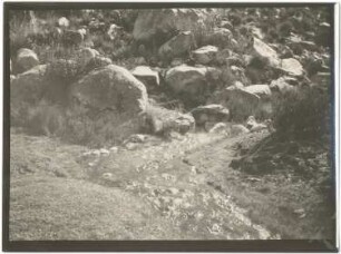 Heiße Quelle im San Francisco-Tal mit Vaucheria