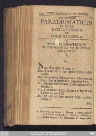 Tirocinium Paradigmaticum In Usum Declinationum Et Coniugationum.