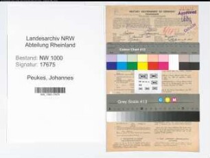Entnazifizierung Johannes Peukes, geb. 01.01.1896 (Techn.Angest.)